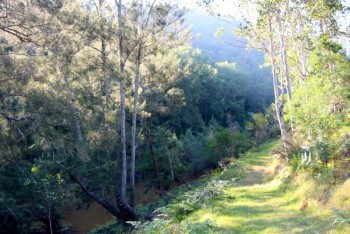 Pepper Trees creek walk...